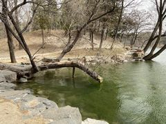 -承德避暑山庄景区