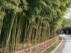 -杭州植物园