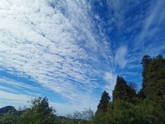 -吃香喝辣·地道衡东菜(南岳大庙店)