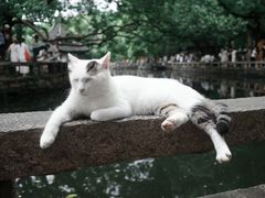 -西园寺素食(西园弄戒幢律寺店)