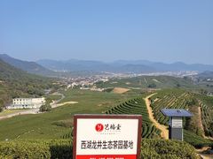 -龙坞茶村