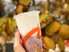 鲜芋芋圆牛奶-CoCo都可(建外SOHO店)