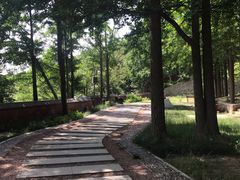 -阳台山自然风景区