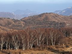 -灵山