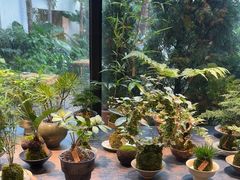 -自由生长植物工作室(深港花卉中心店)