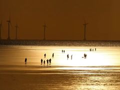 -南汇嘴观海公园