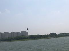 -丁香湖公园