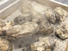 -福禧荟·海鲜自助