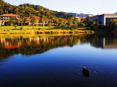 -厦门国家会计学院