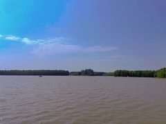 -上海海湾国家森林公园