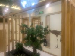 -芳朵美容养生SPA