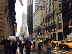 -Lady M Cake Boutique(麦迪逊大道店)