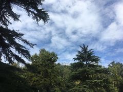 -青岛德国总督楼旧址博物馆