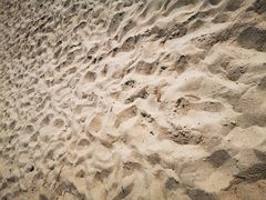 -玫瑰海岸文化旅游度假区