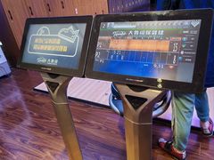 -大鲁阁保龄球(苏州园区店)