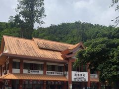 -西双版纳原始森林公园