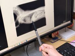 -爱妮康宠物医院·干细胞免疫细胞·肿瘤·心脏(张江店)