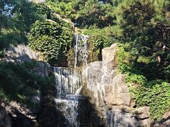 -燕塞湖鸟语林景区