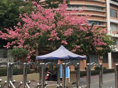 -火炉山森林公园