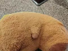 -新乾隆酒楼(帝景园店)