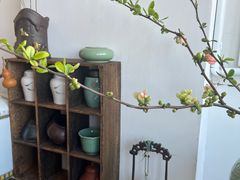 -上海大学附属上海和平眼科医院