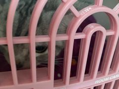 -瑞鹏动物医院宠美康(扬子江路分院)