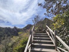-大岭沟猕猴桃谷风景区