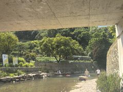 -北仑森林植物园