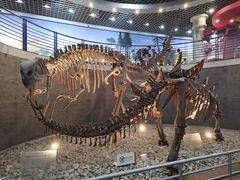 -国家自然博物馆