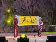 -灵玲国际马戏城