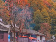 -丹山赤水风景名胜区