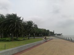 -野狸岛