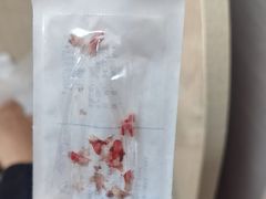 -北京观赏动物医院·24小时大型综合·猫专科·异宠专科