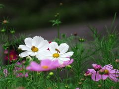 -钟山体育运动公园