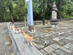 -四门塔风景区