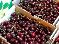 -江杨农产品批发市场