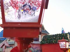 -锦江乐园舞狸花花游园会(夜场专享)