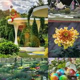 婀娜多姿  争奇斗艳  2021共青菊花展