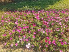 -云溪植物园