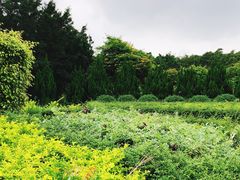 -南沙蒲洲花园