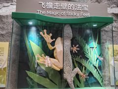 -上海科技馆-探索之光