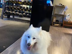 -RoMan罗马健身工作室(莘庄店)