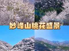 -妙峰山风景名胜区