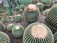 -国家植物园