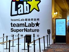 -澳门威尼斯人综合度假区