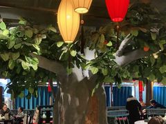 -北平盛世·新京菜·北京烤鸭(劲松·双井店)