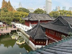 -绿波廊(豫园店)