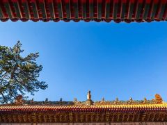 -普乐寺