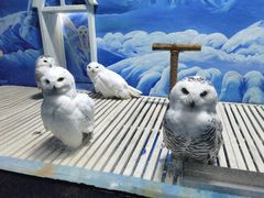 -成都浩海立方海洋公园