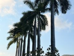 -三亚太阳湾柏悦酒店